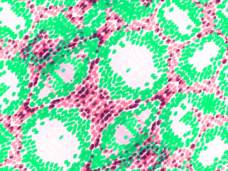 Snake Skin Background.