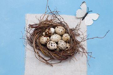 Obraz premium quail eggs in a nest of branches on a blue background, light fabric, Easter background, natural food, copy space, top view, decorative butterfly