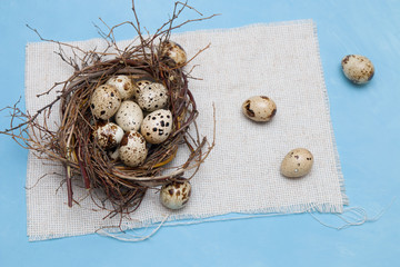 Obraz premium quail eggs in a nest of branches on a blue background, light fabric, Easter background, natural food, copy space, top view