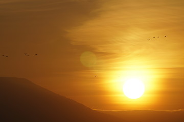 solora disk sunset