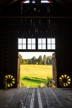View of wheat field from barn