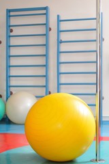 Fitness ball and sports equipment