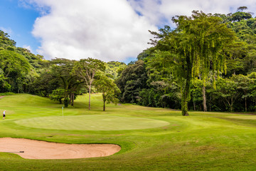 Landscape at the golf course. Tropical zone