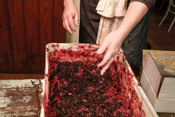 Handmade blood sausage preparation, Argentine tradition, Pampas, Patagonia