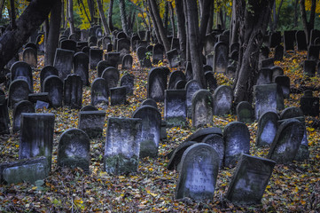 Warsaw, Poland - October 28, 2009: Jewish Cemetery located at Okopowa Street in Wola district of...