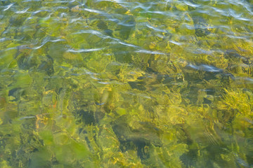 An abstract view of a lake bed could be used as a background