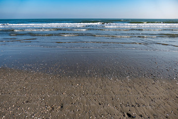 Riserva Naturale di Porto Corsini, Ravenna