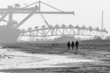 Riserva Naturale di Porto Corsini, Ravenna