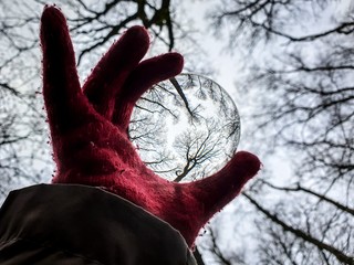 A scenic portrait of a hand with a red glove holding up a glass lens ball in a forest. The trees...