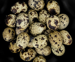 Obraz premium Quail Eggs (selective focus; detailed close-up shot)