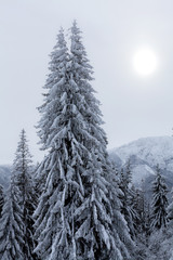 Mountains in winter, lots of snow and very cold