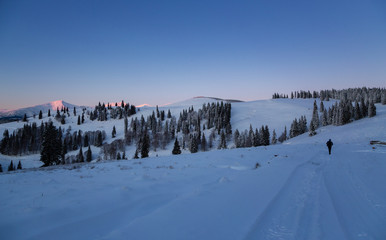 Abstract background, nature landscape in Rodna Mountains, on a very cold winter morning day, with trees and road covered with fresh snow