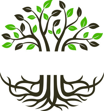 Circular trees and roots