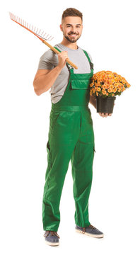 Handsome Male Gardener On White Background