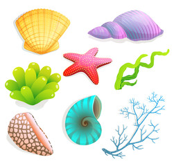 Seashells and underwater objects collection isolated on white vector watercolor style clip art.