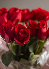 bouquet of red roses