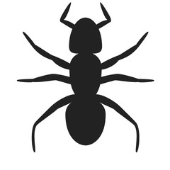 silhouettes of insects