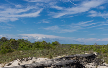 Old Baltimore road on Assateague Island 