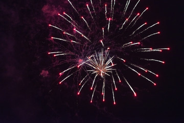 Fototapeta na wymiar Bright, red fireworks in the dark sky.