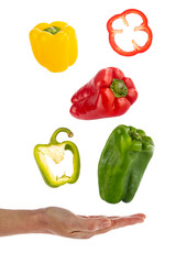 A person's hand holds several green, red and yellow peppers in the air isolated on white background. Fresh vegetables for a vegetarian and vegan diet. Concept of healthy food and wellness.