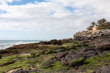 Fototapeta na wymiar Rocky ocean shore covered with moss. Costa Calma, Fuerteventura. Selective focus. 