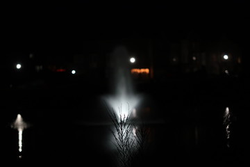 a plant with a bea lake beind