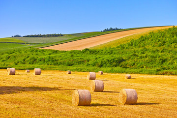 初夏の北海道美瑛町、牧草を収穫した牧草ロール © 7maru