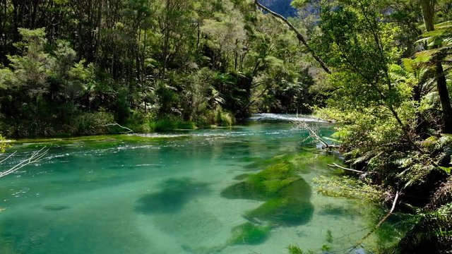 Tarawera River, North Island New Zealand