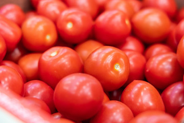 Tomaten Tomate tomatoes Gemüse rot red gesund Vitamine
