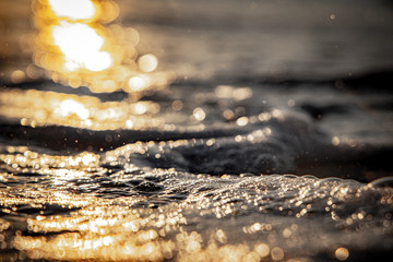 Fototapeta premium Florida Ozean Meer Strand ocean sunset Sonnenuntergang sea water