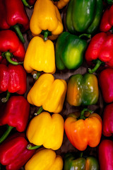 Paprika Gemüse frisch fresh gesund gelb grün rot red green yellow