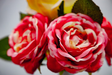 Rosen Blumen Blumenvase Vase pink rot gelb Strauss