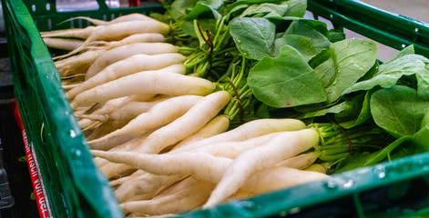 Rübe Rettich weiss gesund frisch Gemüse radish