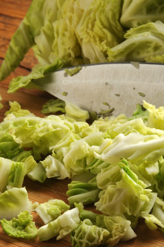 Cavolo verza  ft0201_2714 Savoy cabbage