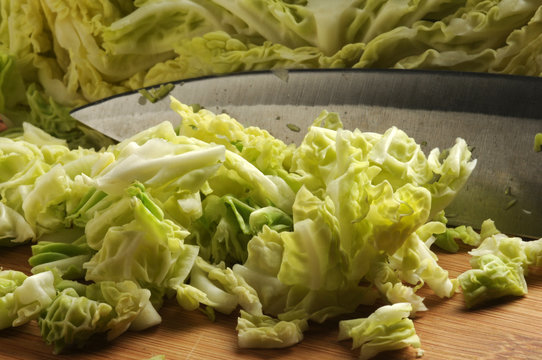 Cavolo verza ft0201_2719 Savoy cabbage