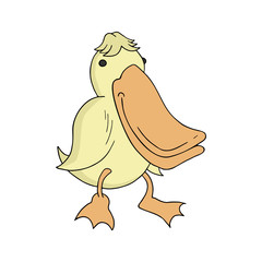 Funny duck illustration
