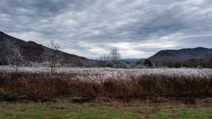 landscape with mountains
