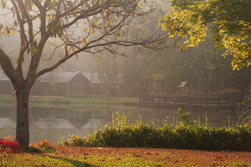 Morning light with a warm atmosphere by the river