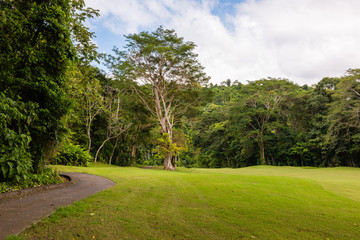 Landscape at the golf course. Tropical zone