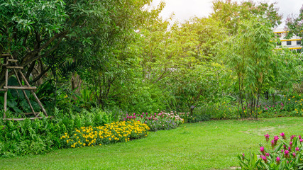Green grass lawn in a garden with random pattern of grey concrete stepping stone , Flowering plant,...