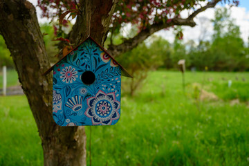 Fun Birdhouse with Copy Space Right