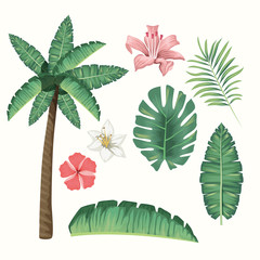 tropical leafs and flowers foliage pattern background