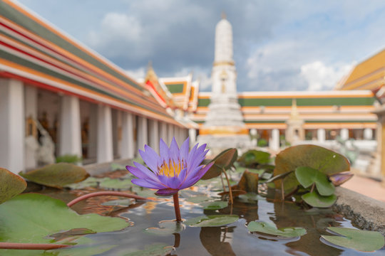 Temple Wat Pho bangkok, tailande