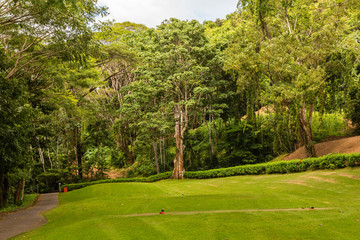 Obraz premium Landscape at the golf course. Tropical zone