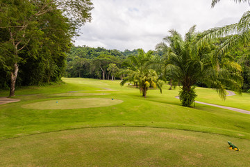 Landscape at the golf course. Tropical zone