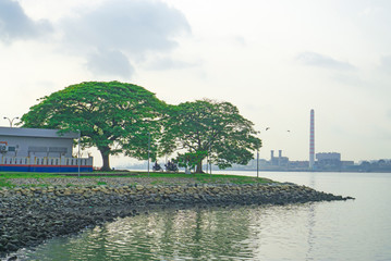 Fototapeta premium Two big trees on green grass near a river and the building under cloundy sky, city view of factory on background