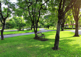 The public park with green grass field.