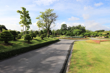 The green public park in Bangkok