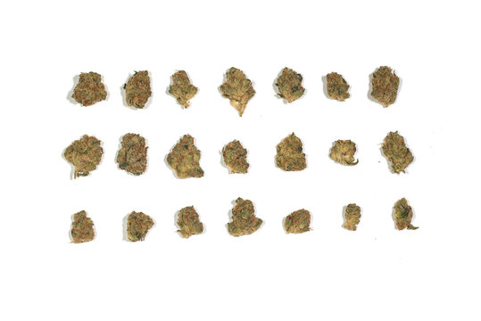 Dried marijuana cannabis pot weed 3 rows of 7 buds nugs flowers  isolated on white 