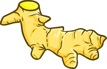 Funny and cute turmeric for your cooking ingredient